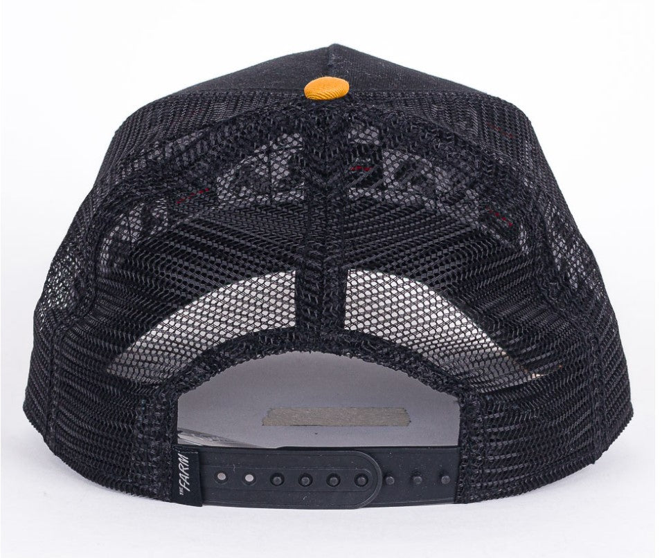 Hat Animal - Hobbies and Topics