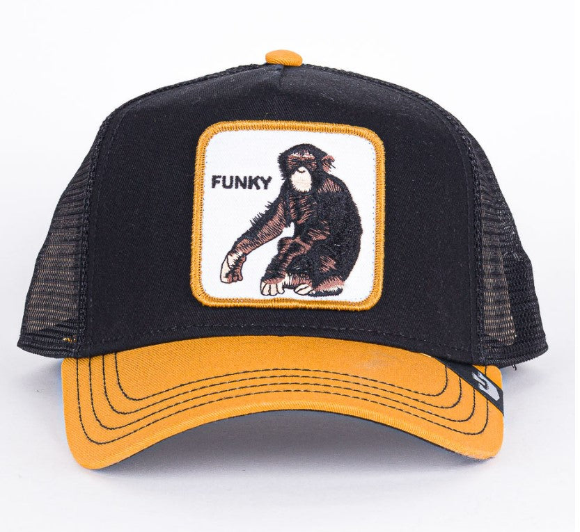 Hat Animal - Hobbies and Topics