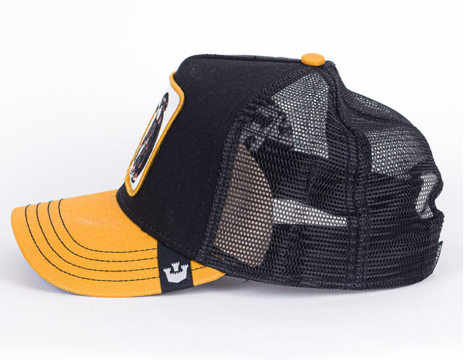Hat Animal - Hobbies and Topics