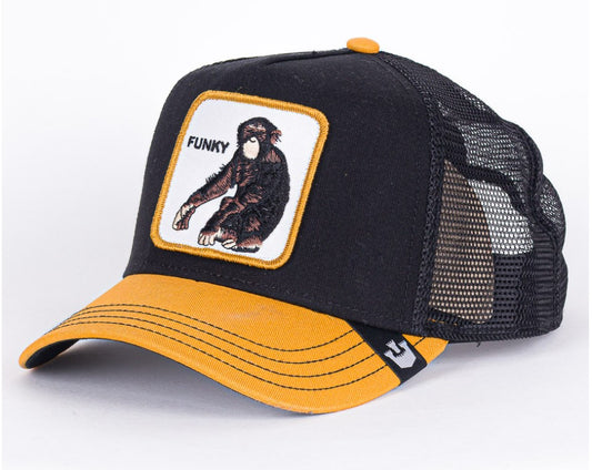 Hat Animal - Hobbies and Topics