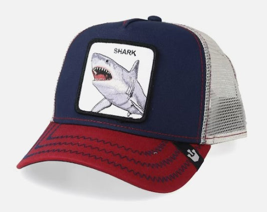 Shark Hat - Hobbies and Topics