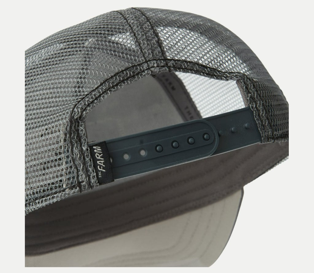 Fox Hat Gray - Hobbies and Topics