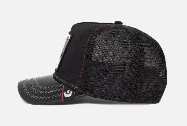 Dinosaur Hat - Hobbies and Topics