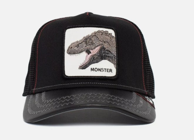 Dinosaur Hat - Hobbies and Topics