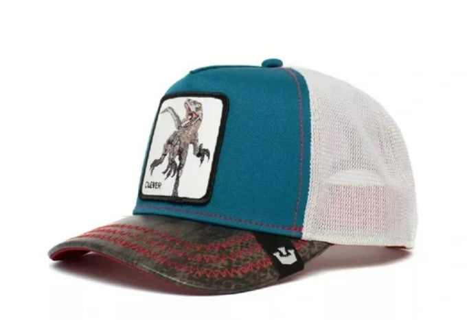 Hat Dinosaur - Hobbies and Topics