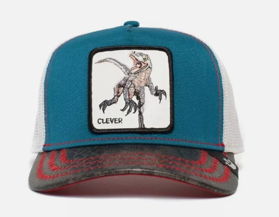Hat Dinosaur - Hobbies and Topics